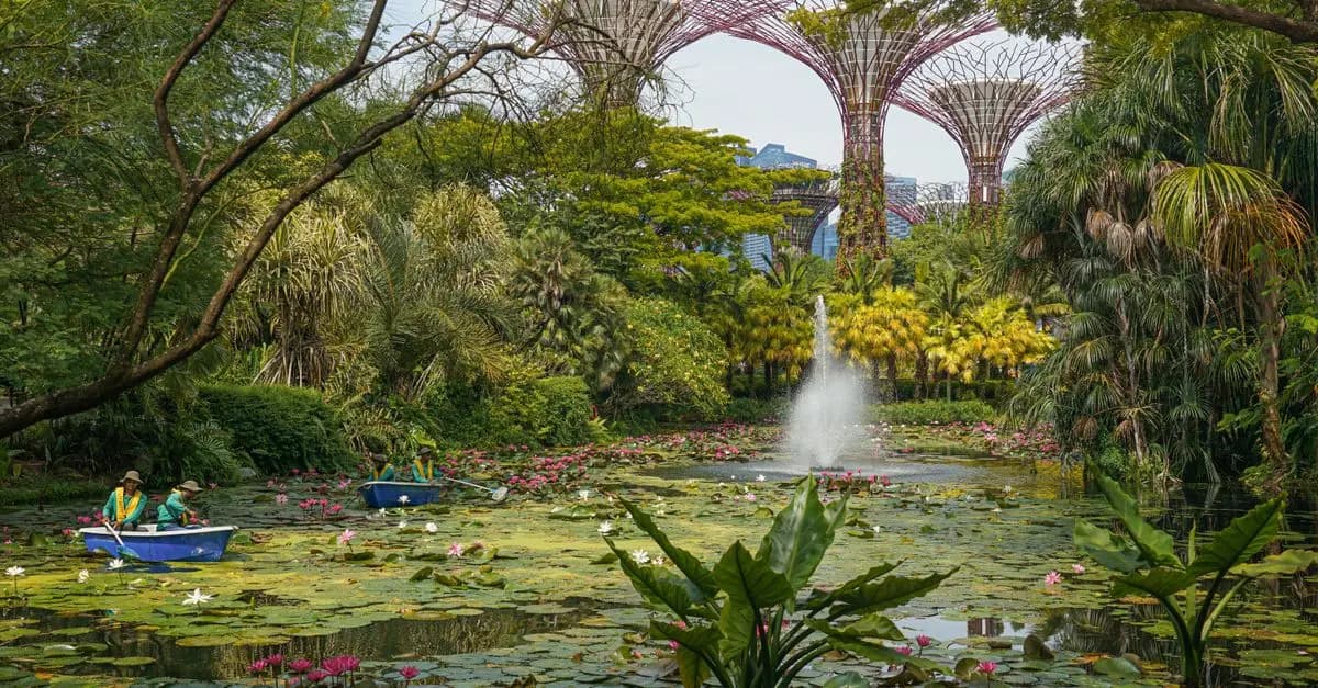 Comparatif des Meilleurs Outils de Jardinage en 2026